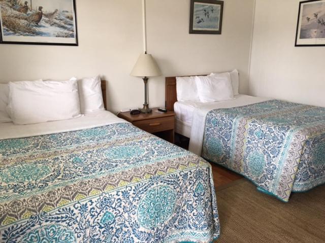 Wachapreague Inn - Motel Rooms Extérieur photo